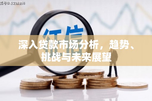长垣深入贷款市场分析，趋势、挑战与未来展望