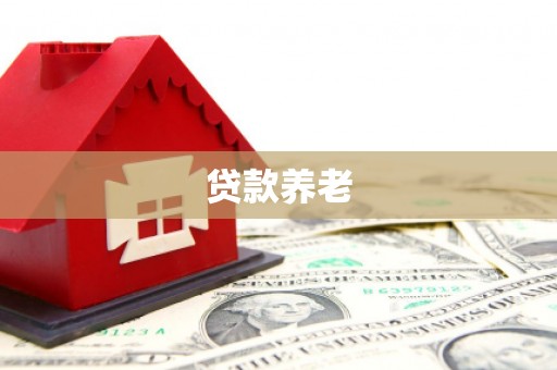 长垣贷款养老
