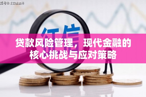 长垣贷款风险管理，现代金融的核心挑战与应对策略