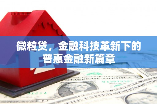 长垣微粒贷，金融科技革新下的普惠金融新篇章