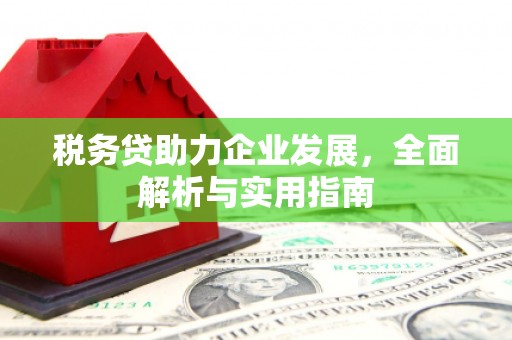 长垣税务贷助力企业发展，全面解析与实用指南