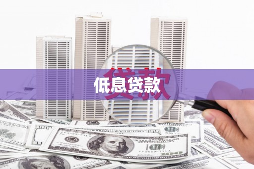 长垣低息贷款