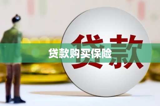 长垣贷款购买保险