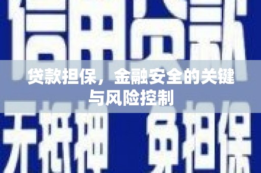 长垣贷款担保，金融安全的关键与风险控制
