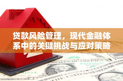 长垣贷款风险管理，现代金融体系中的关键挑战与应对策略