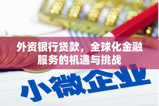 长垣外资银行贷款，全球化金融服务的机遇与挑战