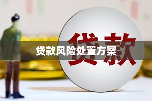 长垣贷款风险处置方案