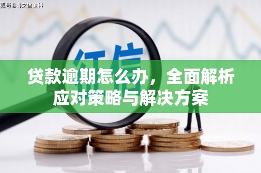 长垣贷款逾期怎么办，全面解析应对策略与解决方案