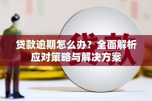 长垣贷款逾期怎么办？全面解析应对策略与解决方案