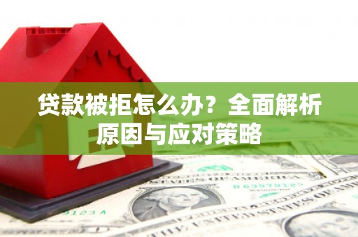 长垣贷款被拒怎么办？全面解析原因与应对策略